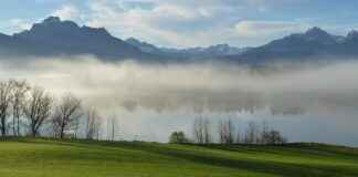 Investiit.com Tips You Need Before Making Your Next Investment Investiit.com Tips You Need Before Making Your Next Investment