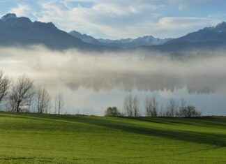 Investiit.com Tips You Need Before Making Your Next Investment Investiit.com Tips You Need Before Making Your Next Investment