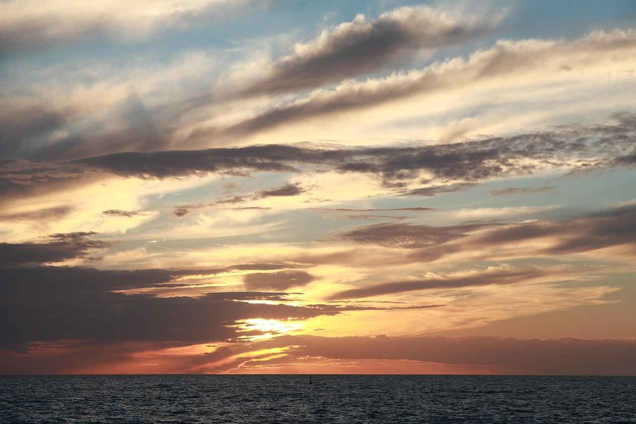 Investiit.com Tips You Need Before Making Your Next Investment 12 Emotional Discipline in Investing