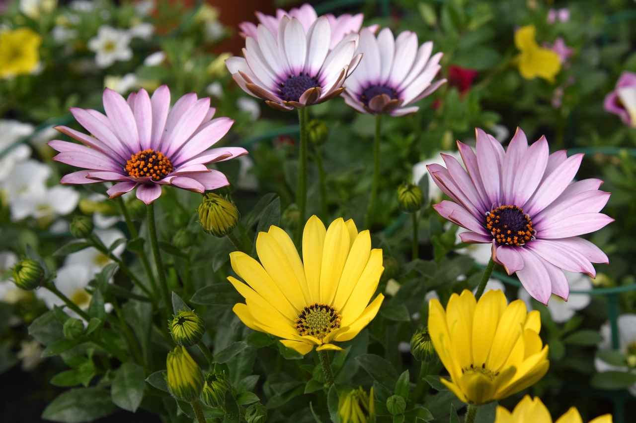 IOFBodies.com Ethics: The Controversial Debate in the Digital World 4 Privacy Concerns and Data Protection