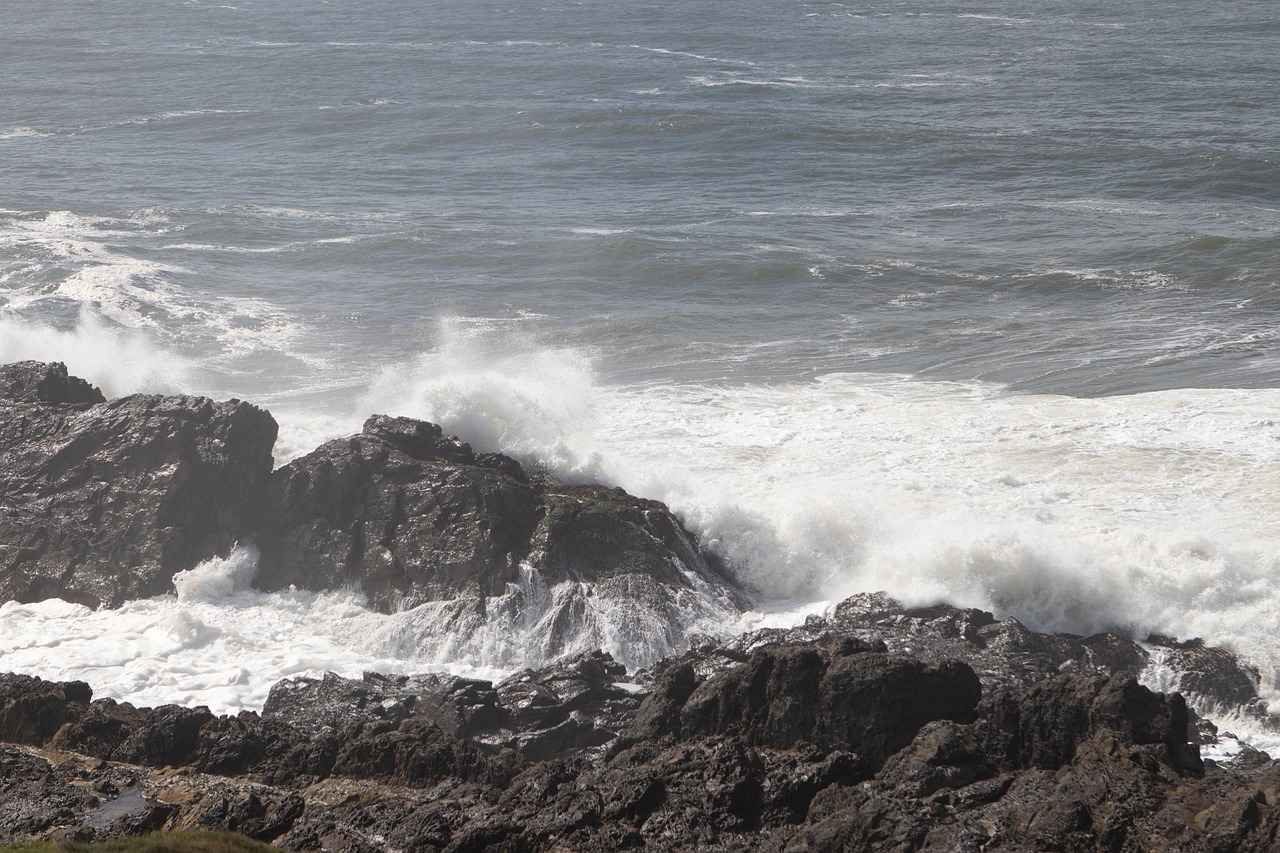 Impact of Piracy on the Film Industry