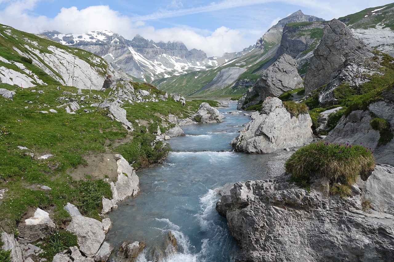 Understanding 123 Movies: What Is It?