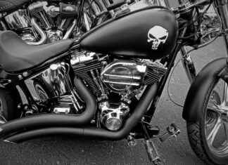 Is a Vegetable Chopper the Right Tool for Your Kitchen? Is a Vegetable Chopper the Right Tool for Your Kitchen?