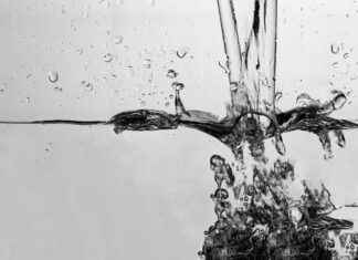 Is It Healthy to Water Fast? What the Experts Say Is It Healthy to Water Fast? What the Experts Say