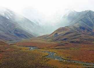 Is It Illegal to Use 123 Movies? What You Should Know Is It Illegal to Use 123 Movies? What You Should Know