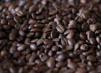 Is the Asobu Portable Cold Brew Coffee Maker Worth the Investment? Is the Asobu Portable Cold Brew Coffee Maker Worth the Investment?