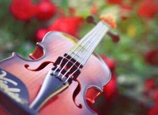 Is the Wicked Movie Appropriate for Kids? A Parent’s Guide Is the Wicked Movie Appropriate for Kids? A Parent's Guide