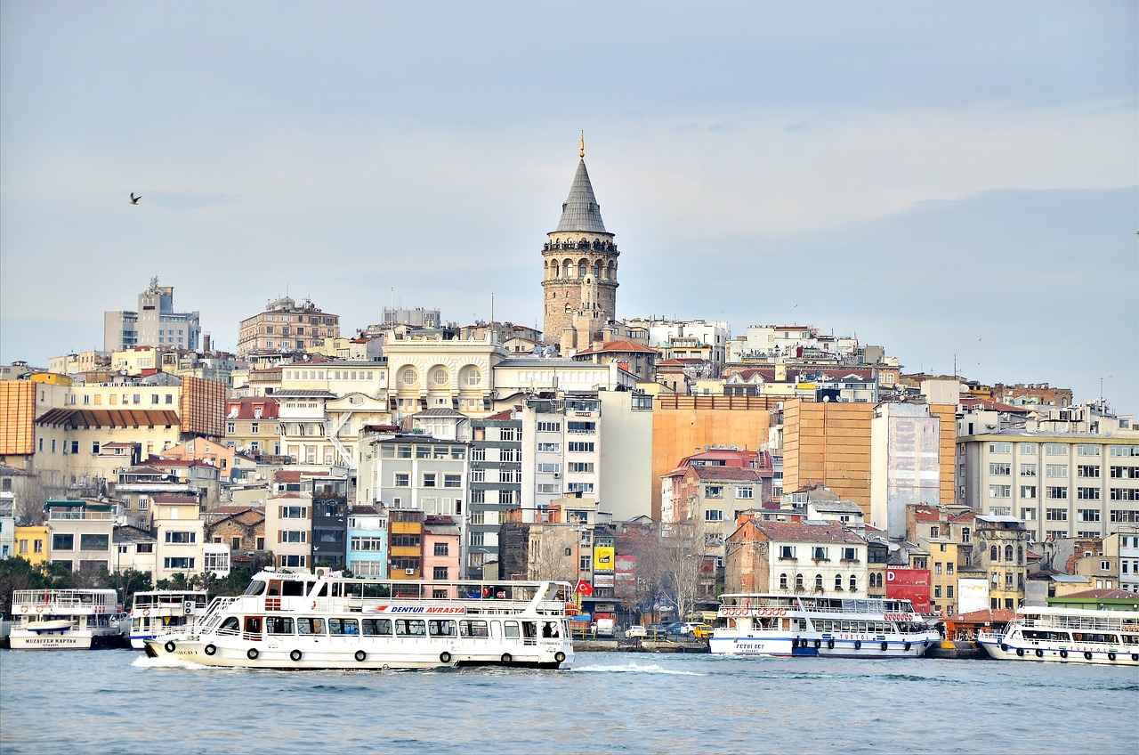 Istanbul’s Best Hair Transplant Clinics for Natural-Looking Results 1 Why Choose Istanbul for Hair Transplants?