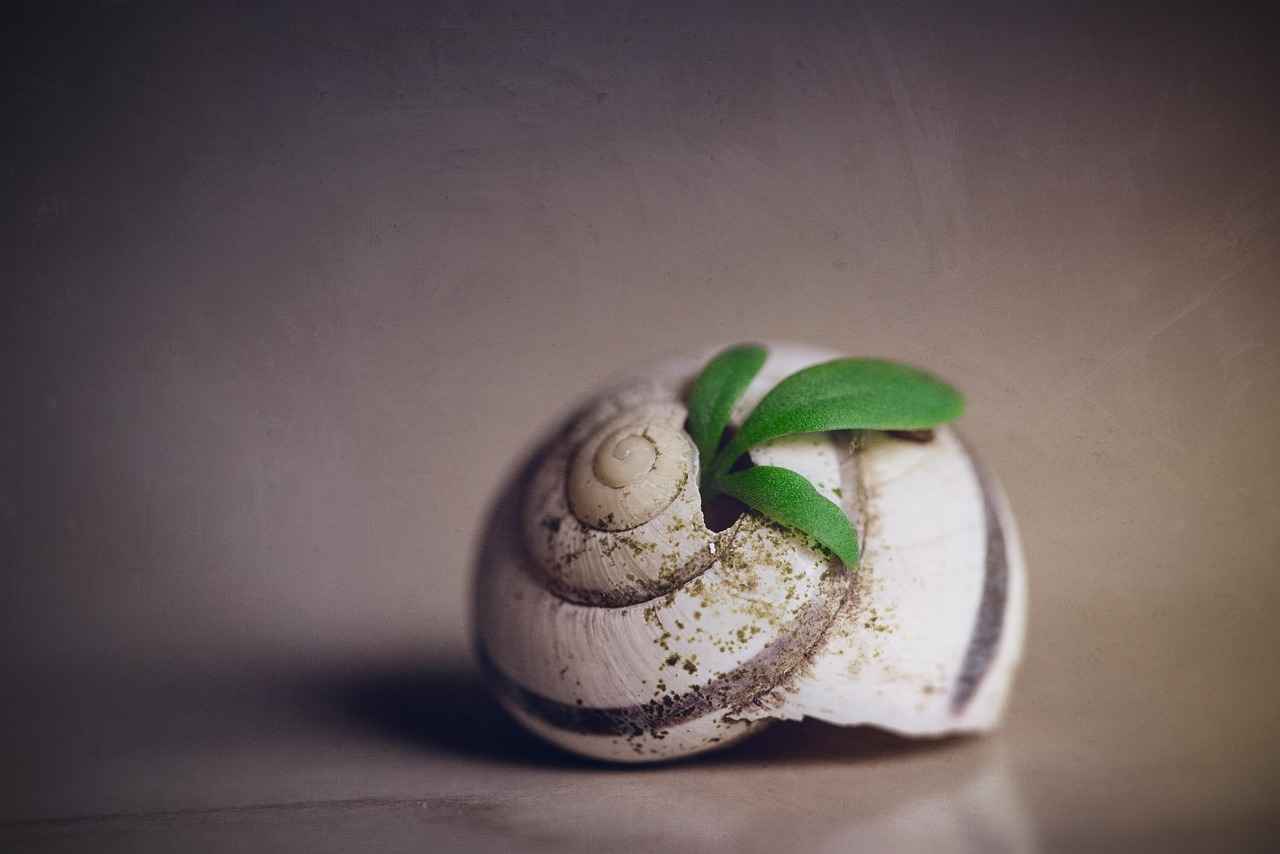 Key Features of Izonemedia360.com