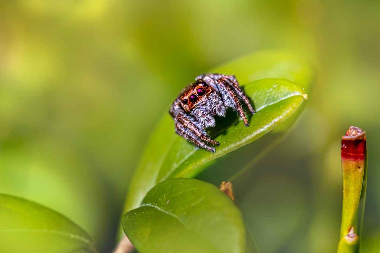 Handling and Interaction