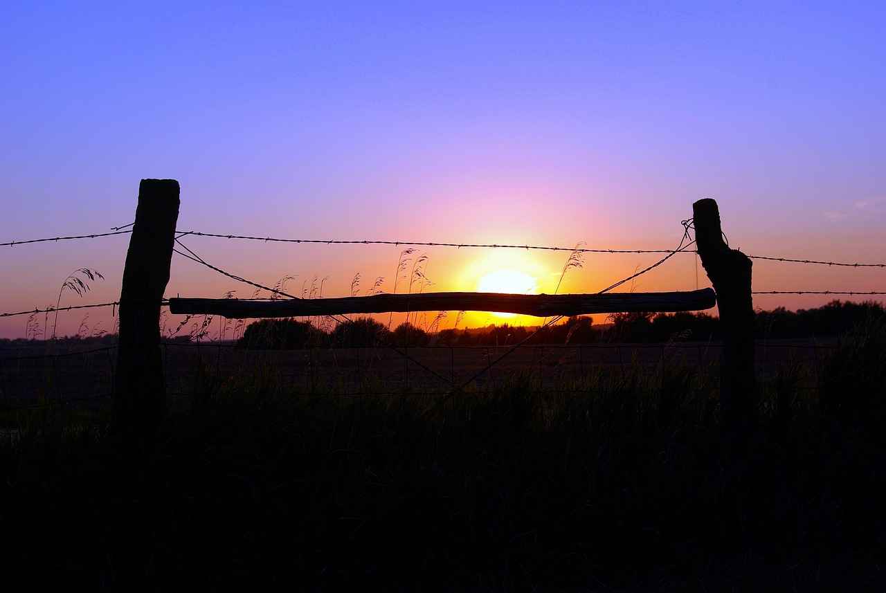 Kansas City Chiefs vs Chargers Match Player Stats 6 Special Teams Contributions