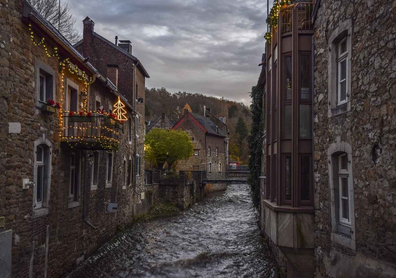 Fan Engagement and Reactions