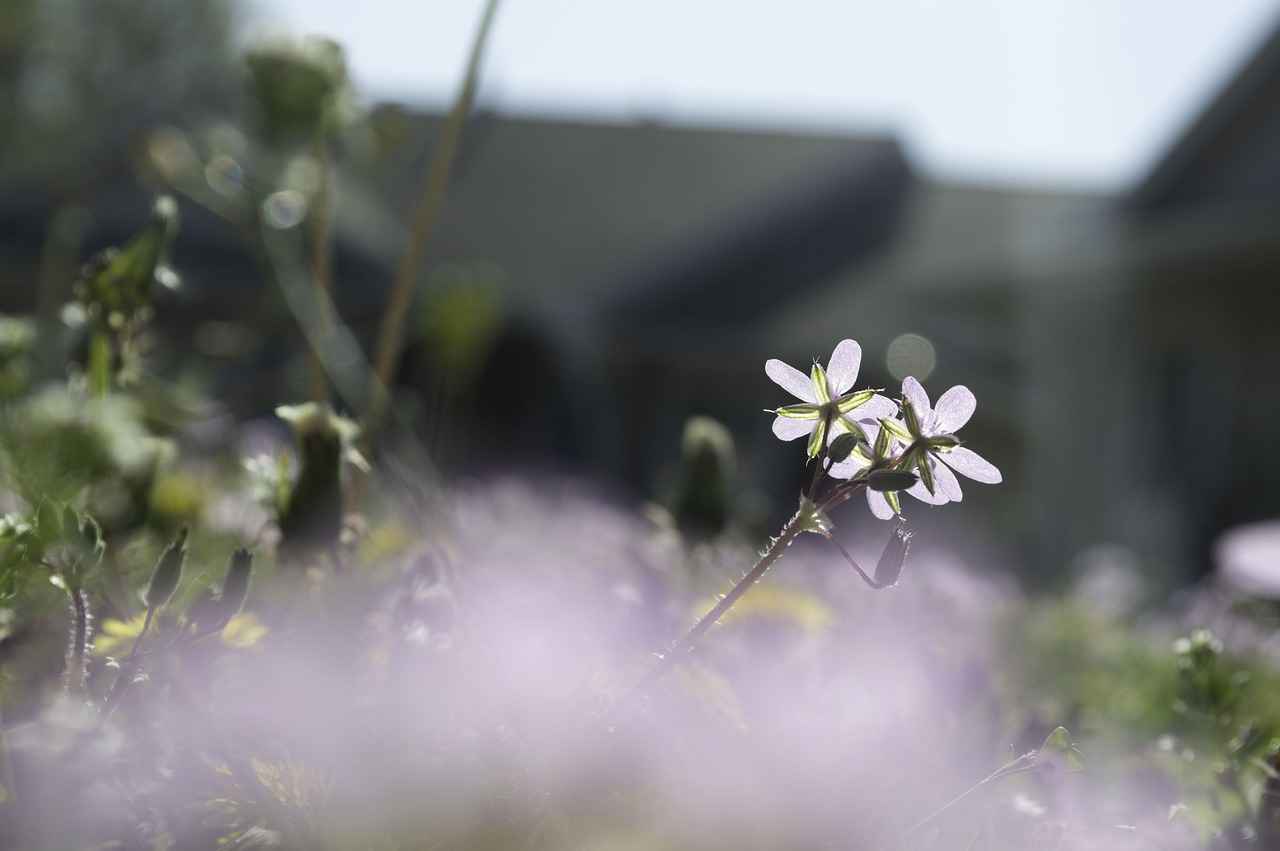 Fan and Media Reactions