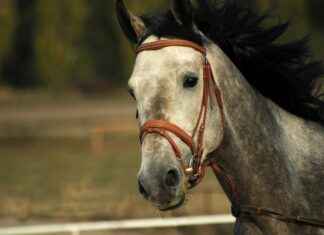 Karate Classes Near Me: How to Choose the Right Dojo Fast Karate Classes Near Me: How to Choose the Right Dojo Fast