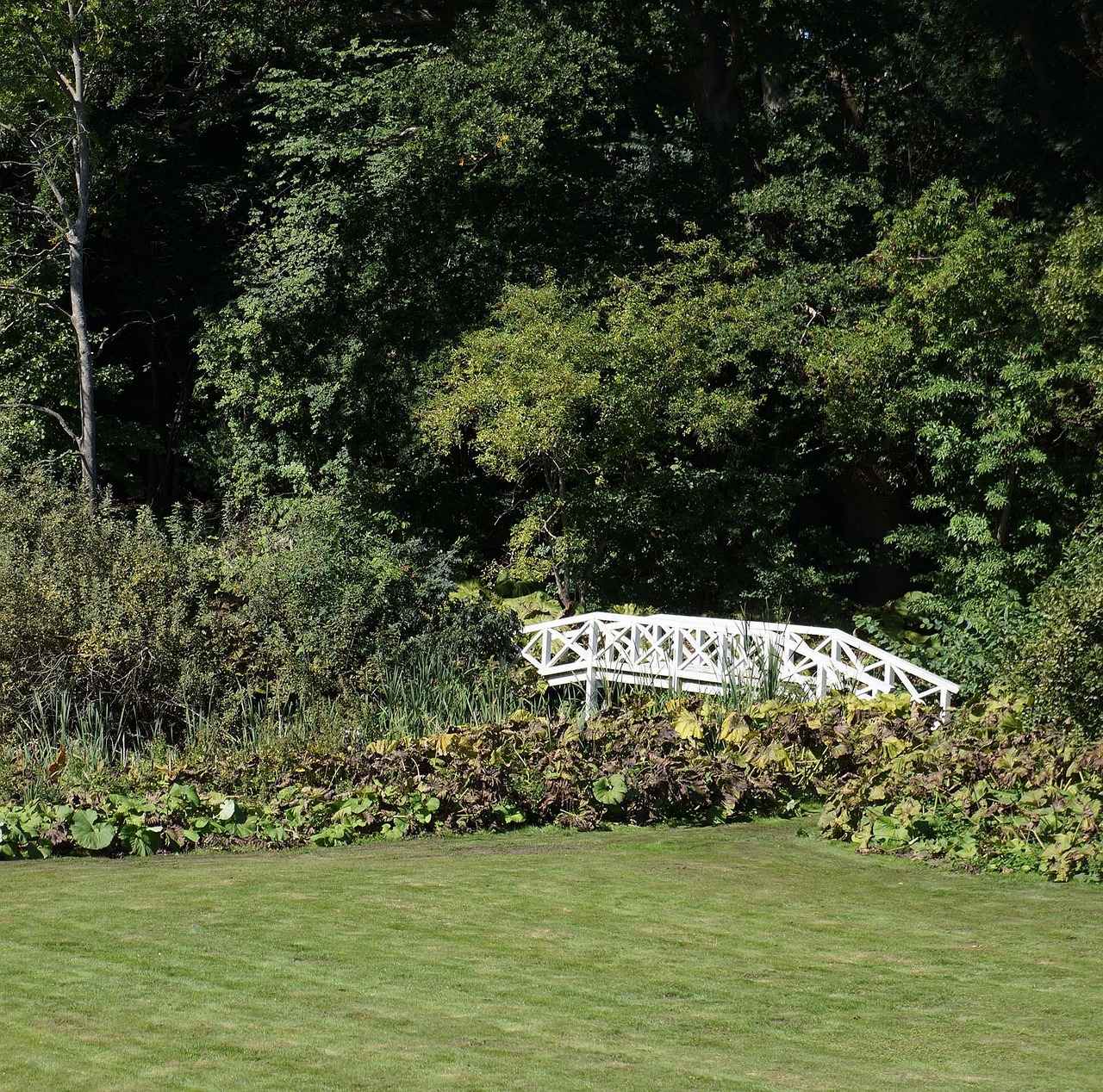 How Did Public Perception Shift Over Time?