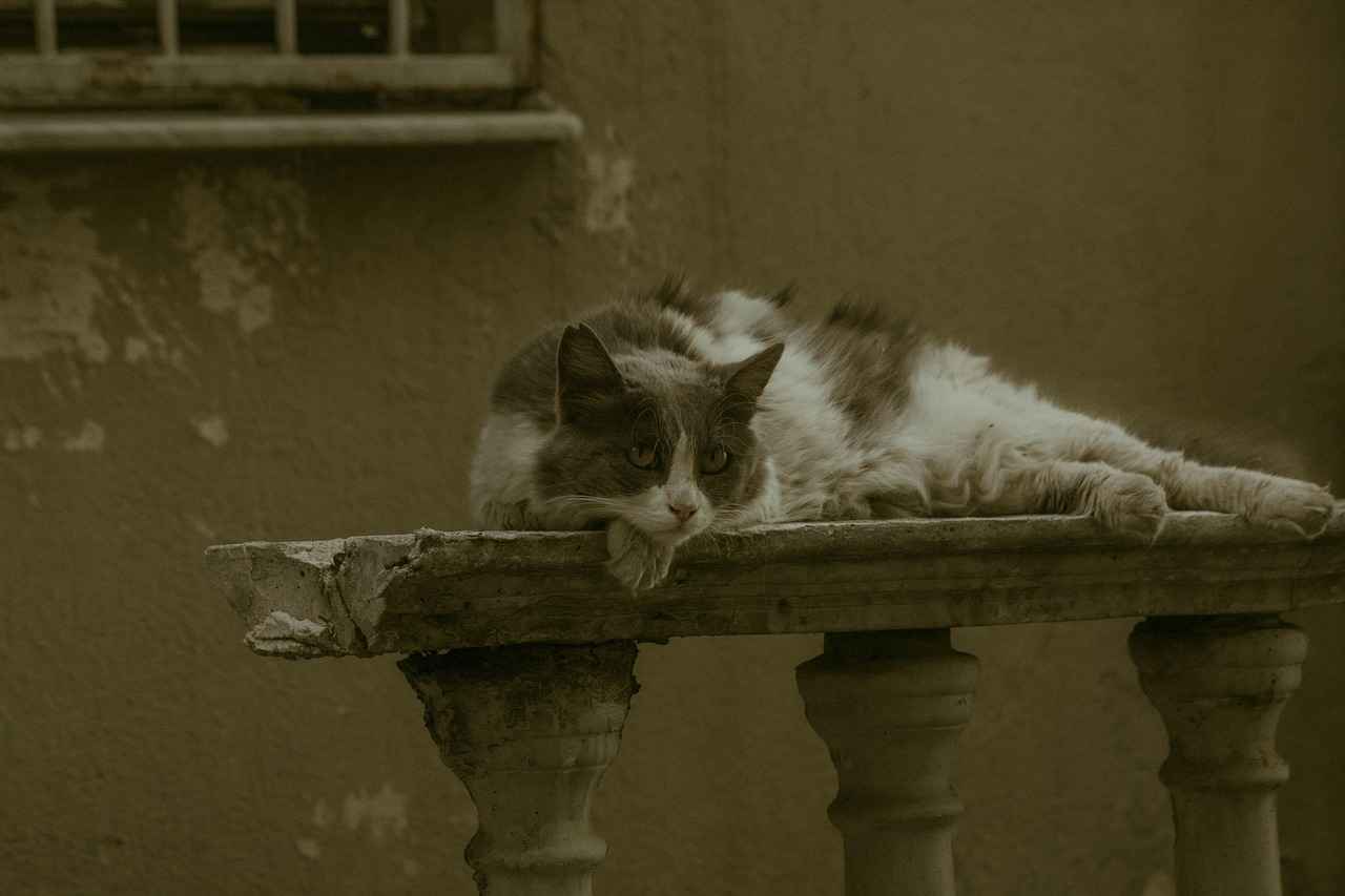 How to Style the Kendra Scott Pearl Necklace