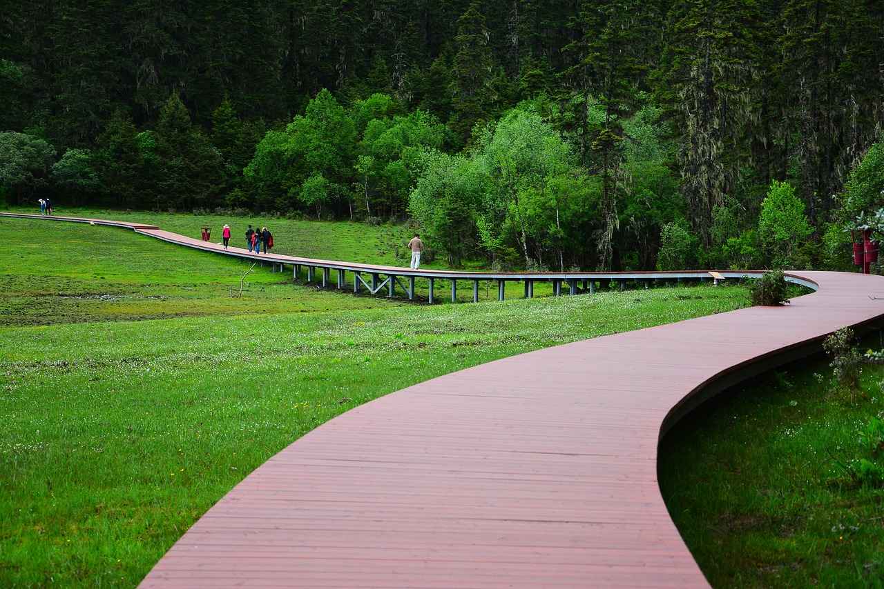 LA Galaxy vs. Real Salt Lake: Player Stats and Game Insights 12 Conclusion: What to Watch For