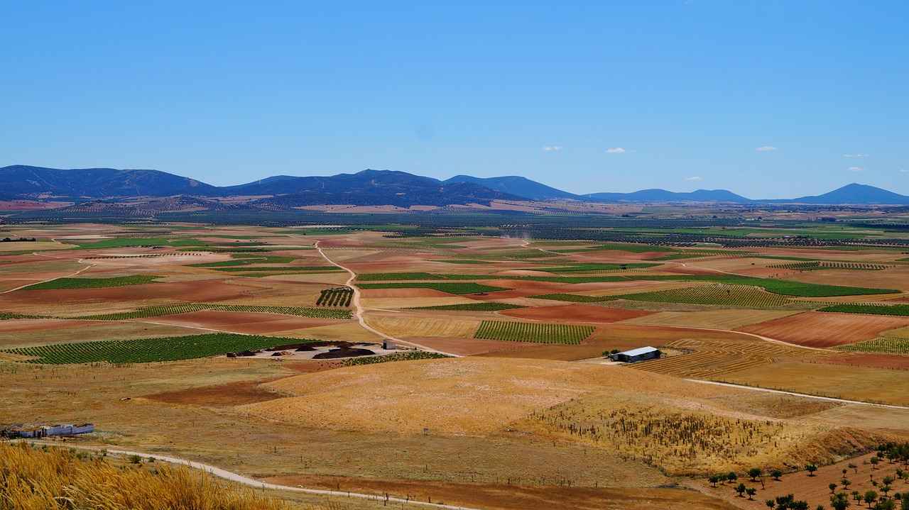 LA Galaxy vs. Real Salt Lake: Player Stats and Game Insights 8 Injury Reports and Player Availability