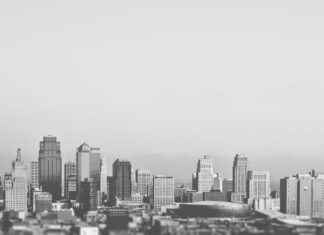 Lab-Banana.com Business: What You Should Know Before Investing Lab-Banana.com Business: What You Should Know Before Investing