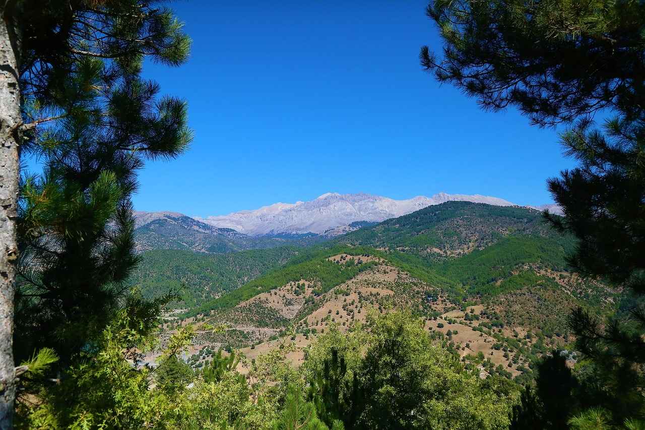 Player Performance Overview