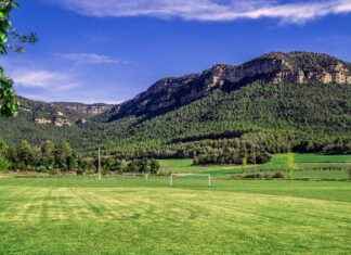 Lakers vs Toronto Raptors Match Player Stats Lakers vs Toronto Raptors Match Player Stats