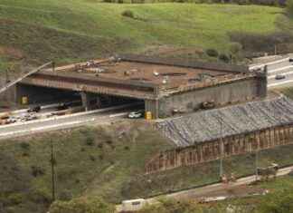 Largest Wildlife Crossing Reaches Milestone: What’s Next? largest-wildlife-crossing-reaches-milestone-whats-next