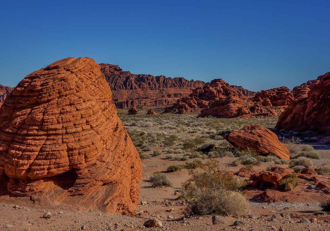 Las Vegas Raiders vs Kansas City Chiefs Match Player Stats 2 Key Player Performances