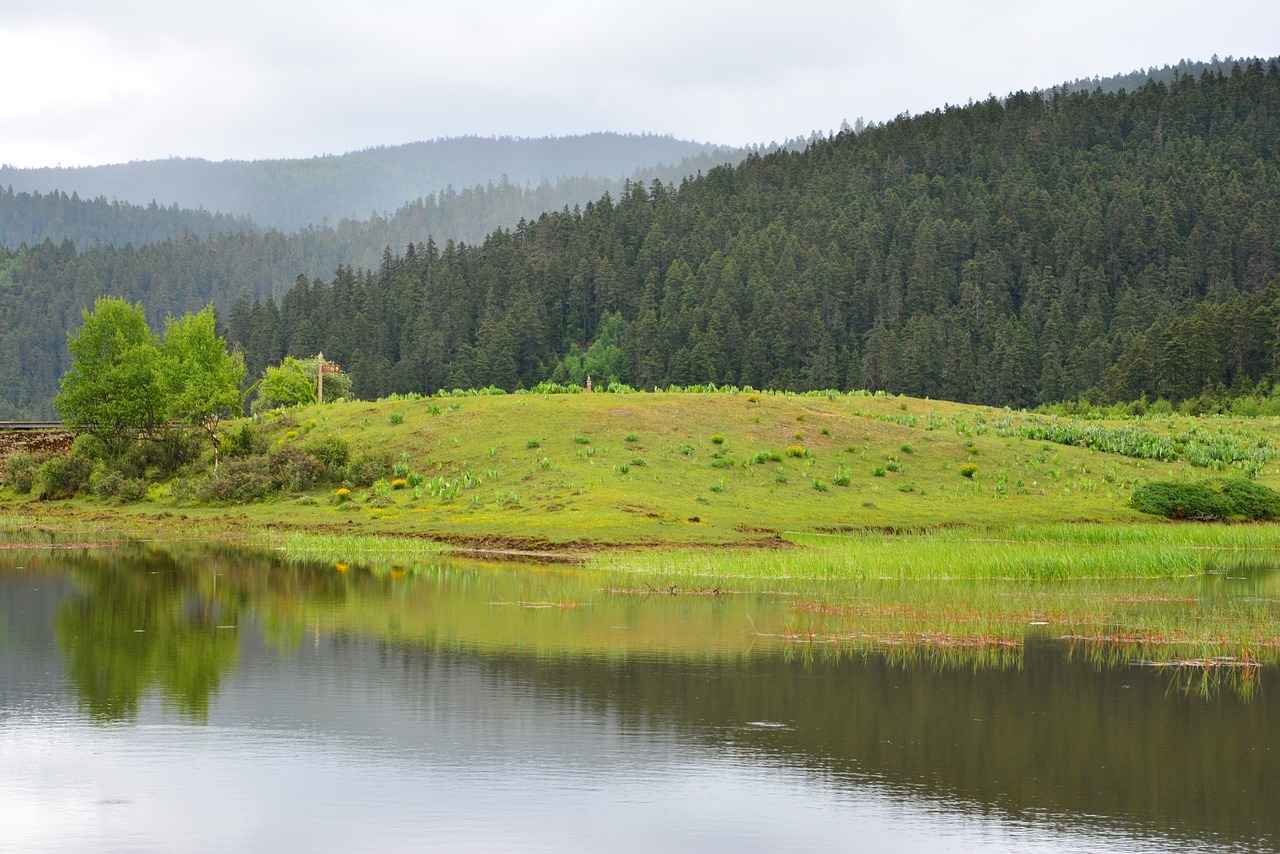 Las Vegas Raiders vs. Los Angeles Chargers: Player Stats and Game Insights 6 Receiving Corps Evaluation