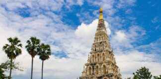 Liam Costner Biography: Net Worth, Career, and Family Liam Costner Biography: Net Worth, Career, and Family