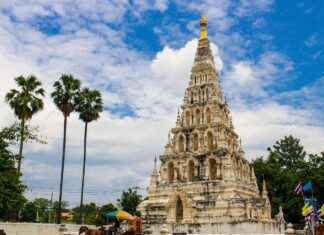 Liam Costner Biography: Net Worth, Career, and Family Liam Costner Biography: Net Worth, Career, and Family