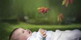 Linda Cardellini Nude Roles: Internet Hoax or Movie History? Linda Cardellini Nude Roles: Internet Hoax or Movie History?