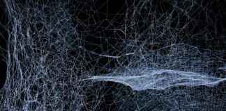 List Crawlers Explained: Tools That Track the Web Like Never Before List Crawlers Explained: Tools That Track the Web Like Never Before