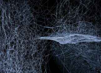 List Crawlers Explained: Tools That Track the Web Like Never Before List Crawlers Explained: Tools That Track the Web Like Never Before