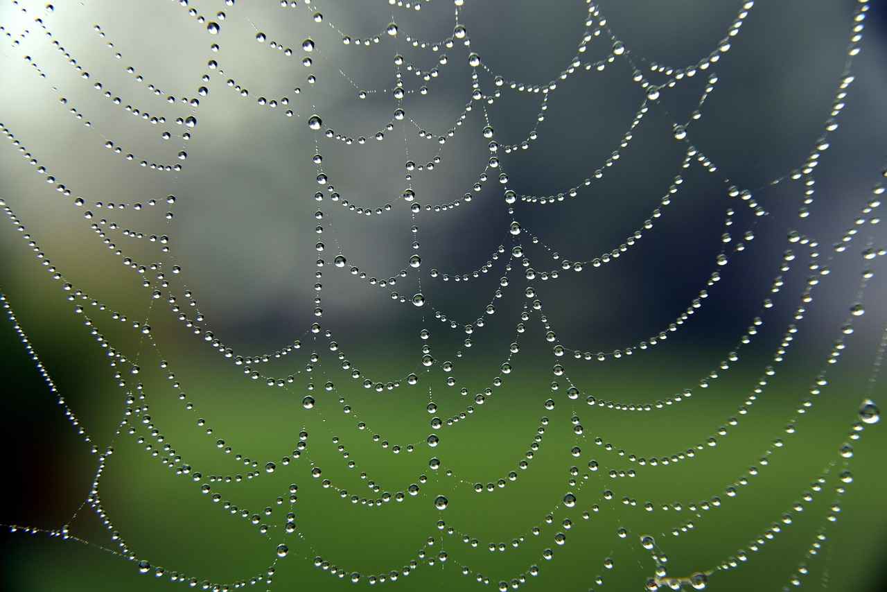 List Crawlers Explained Tools That Track the Web Like Never Before