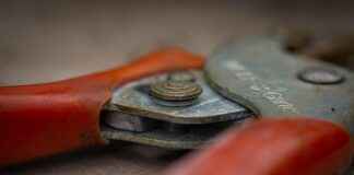 List Crawlers: The Best Crawlers for Online Research and SEO List Crawlers: The Best Crawlers for Online Research and SEO