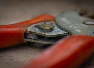 List Crawlers: The Best Crawlers for Online Research and SEO List Crawlers: The Best Crawlers for Online Research and SEO