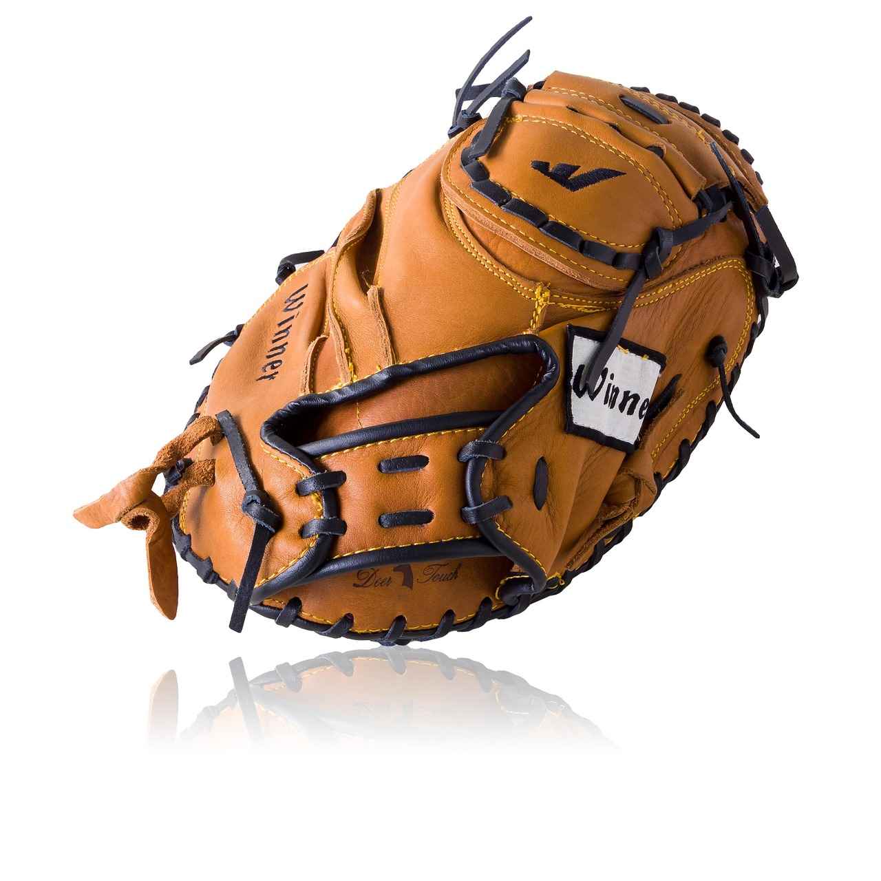 Future Outlook: What Lies Ahead