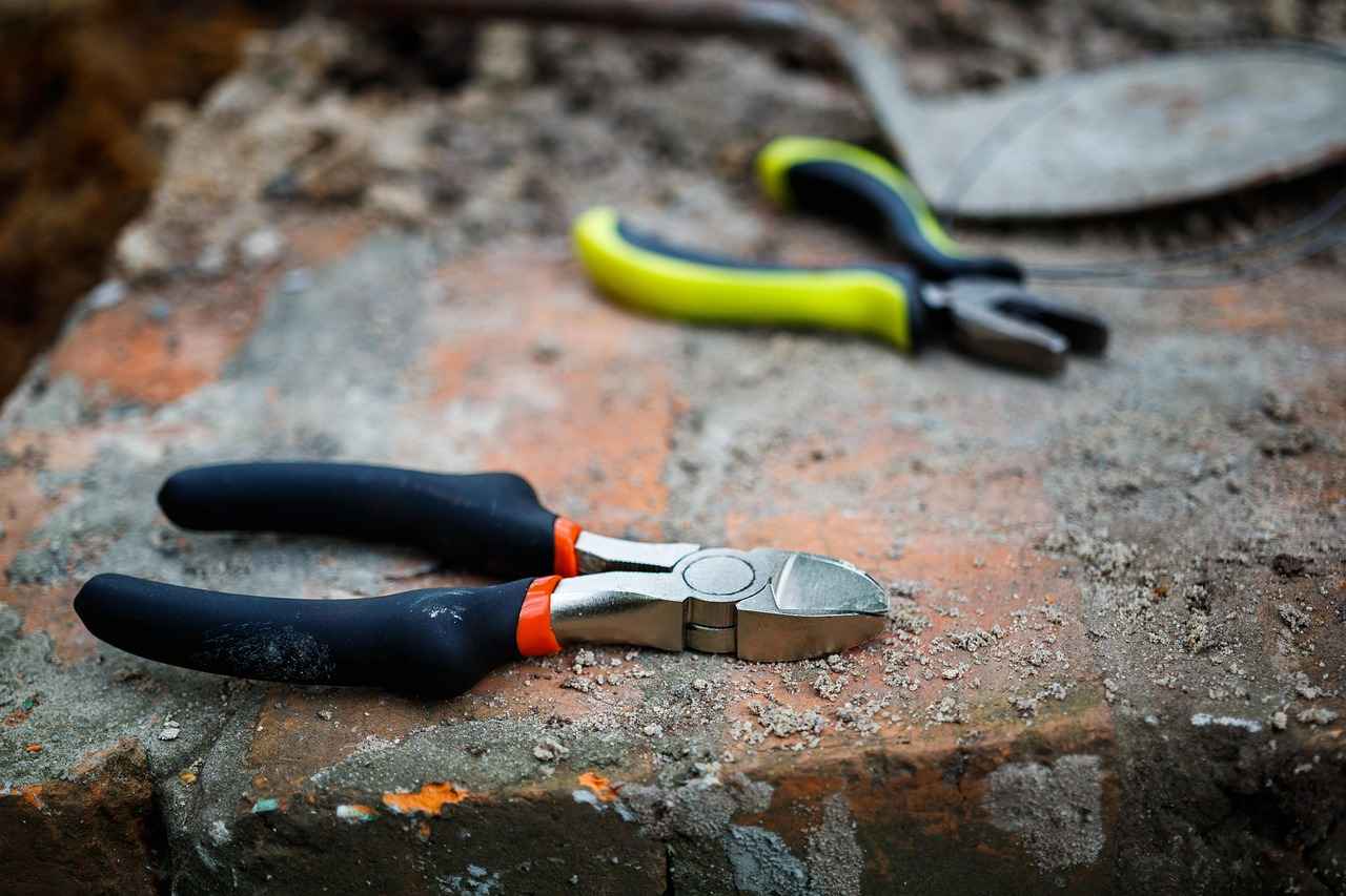 Future Outlook for Both Teams