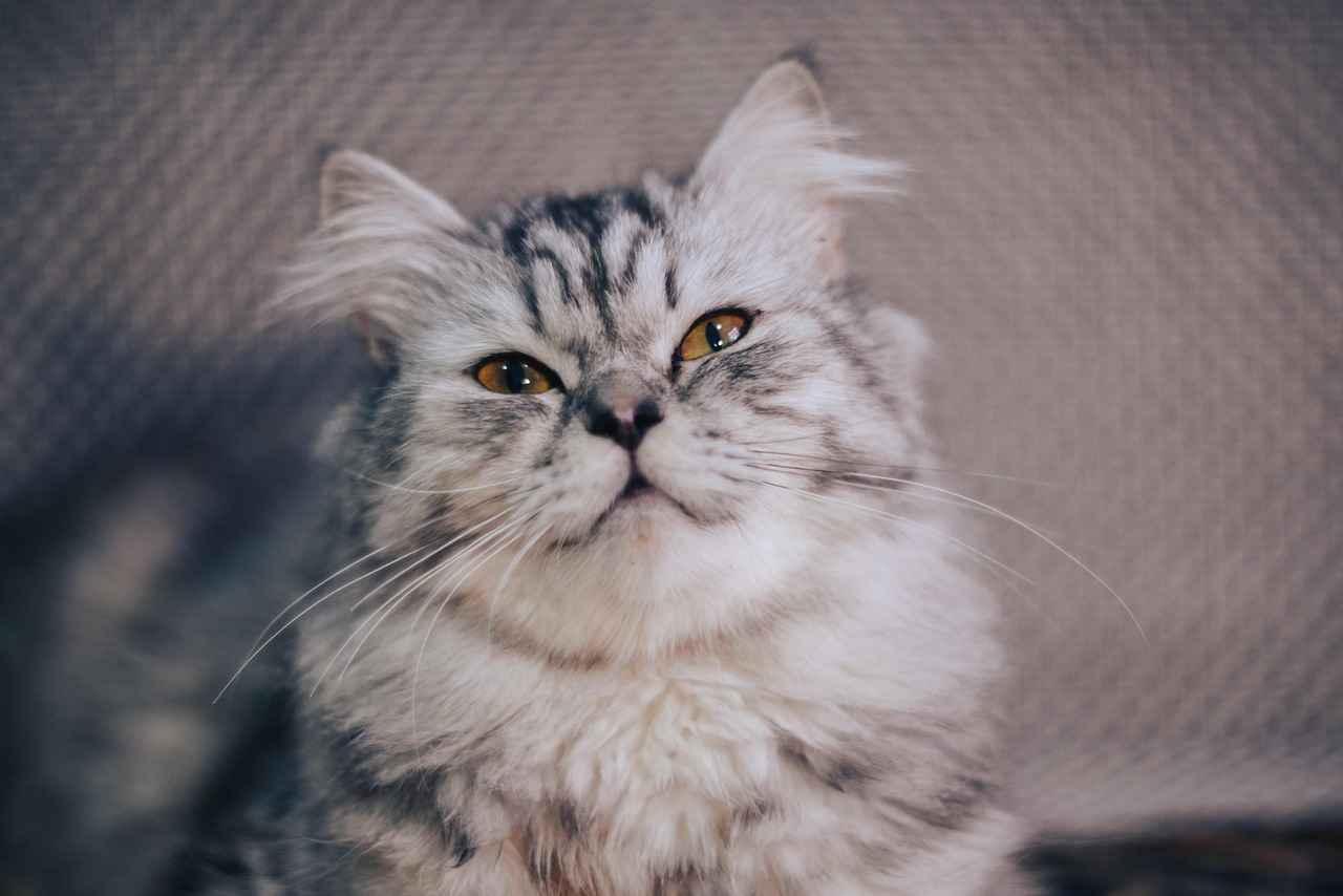 Impact of Trades and Free Agency