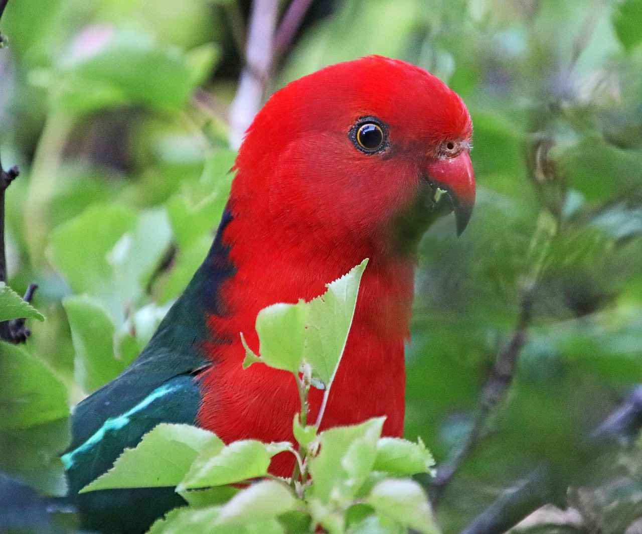 Los Angeles Kings vs. San Jose Sharks: Player Stats and Highlights 1 Overview of the Los Angeles Kings