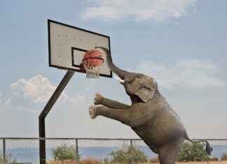 Los Angeles Lakers vs. Golden State Warriors: Top Performers and Game Analysis Los Angeles Lakers vs. Golden State Warriors: Top Performers and Game Analysis