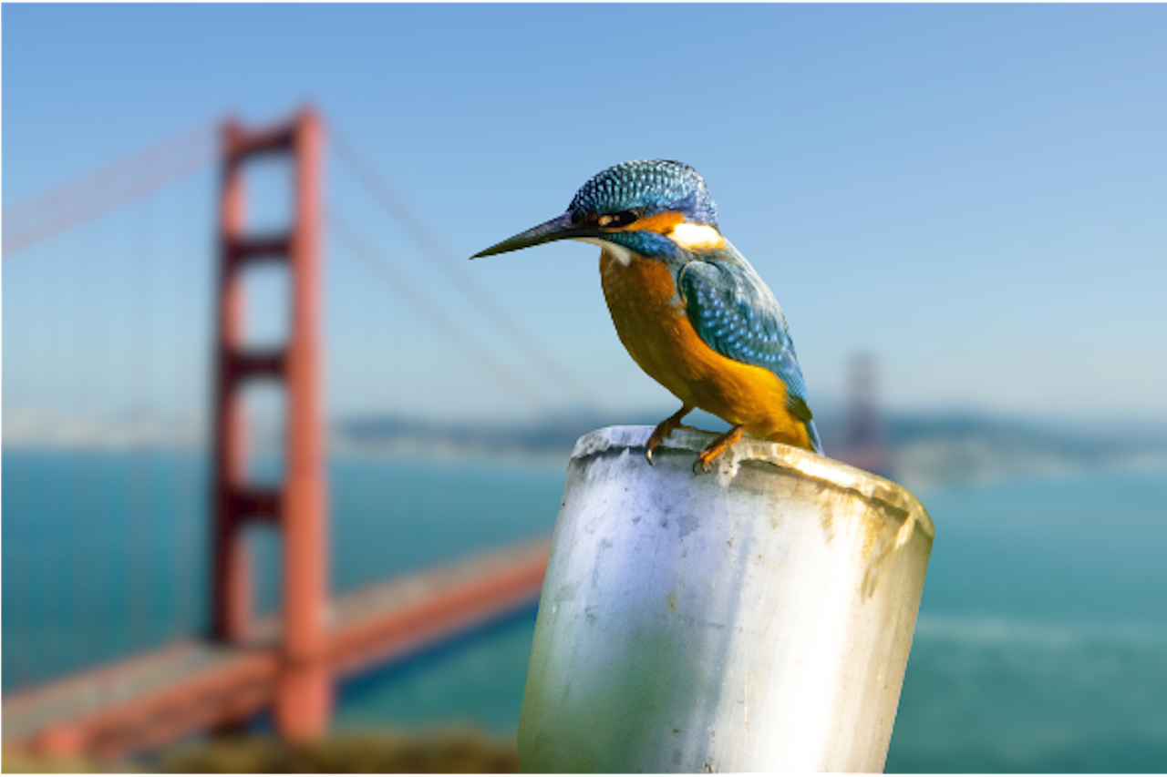 Los Angeles Rams vs Chicago Bears Match Player Stats 8 Fan Reactions and Game Atmosphere