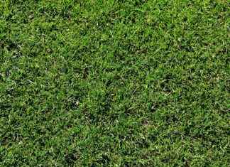 Los Angeles Rams vs Detroit Lions Match Player Stats Los Angeles Rams vs Detroit Lions Match Player Stats