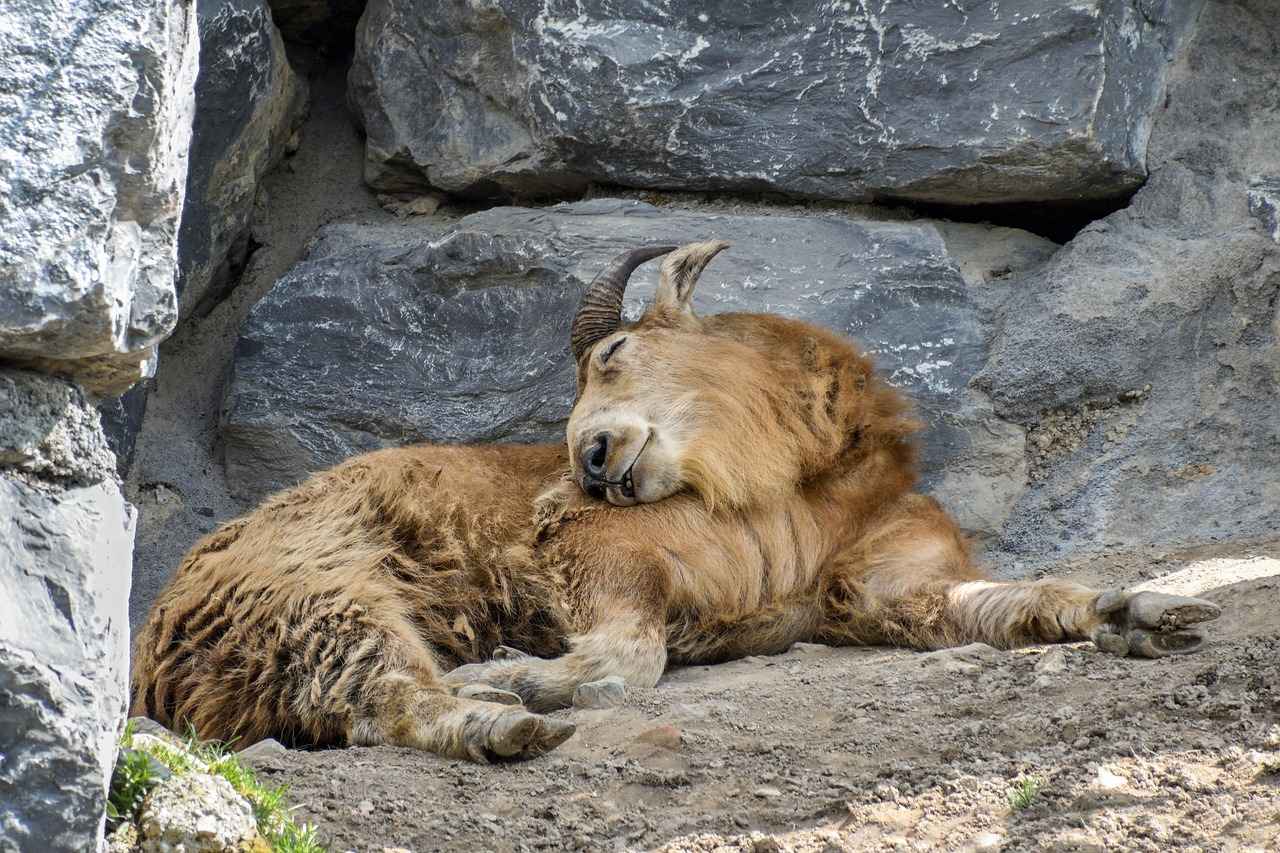 Key Player Performances