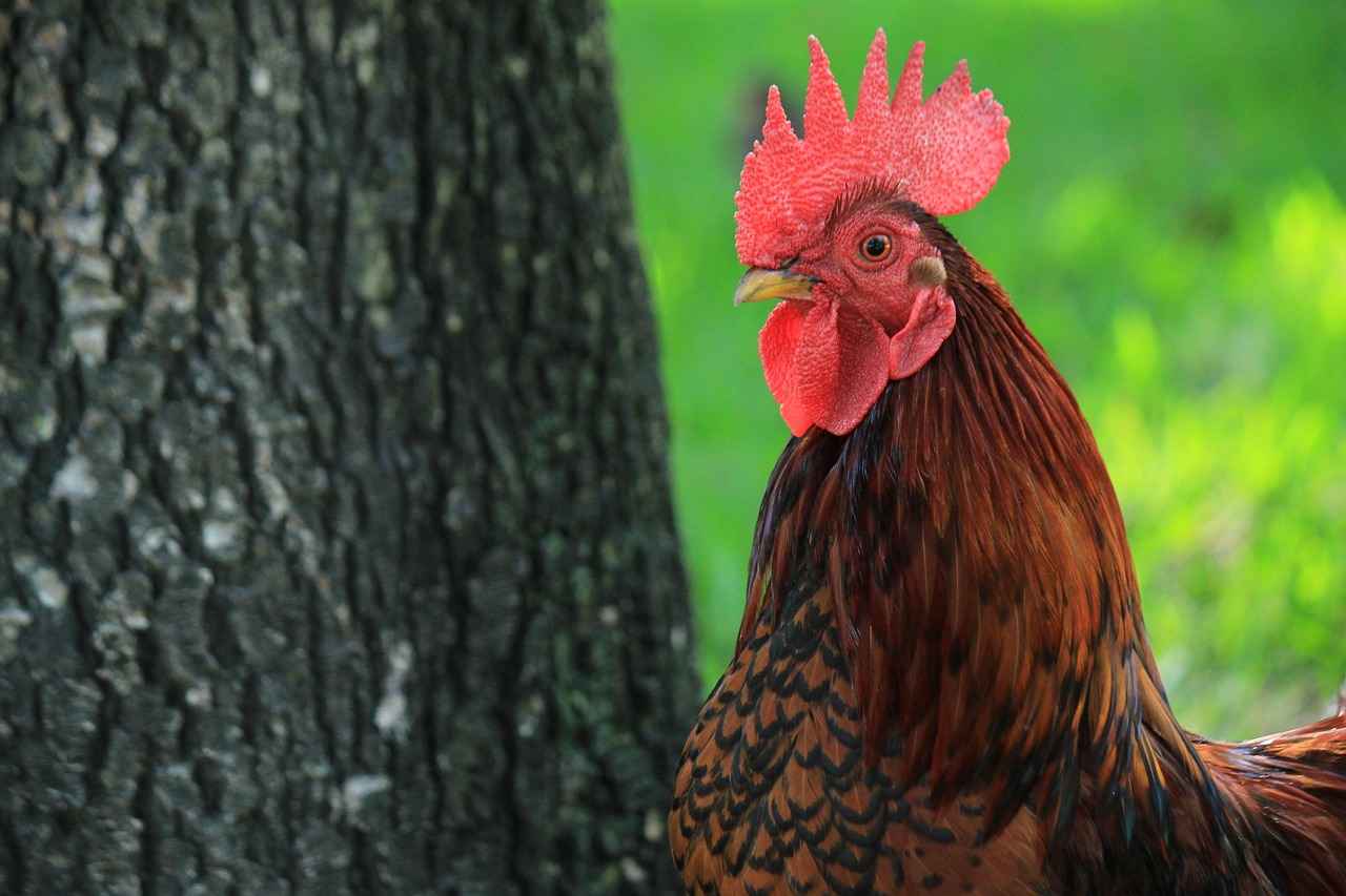 Signature Dishes You Must Try