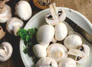 Lyrics ZZ Top Pearl Necklace: The Story Behind the Hit Song Lyrics ZZ Top Pearl Necklace: The Story Behind the Hit Song