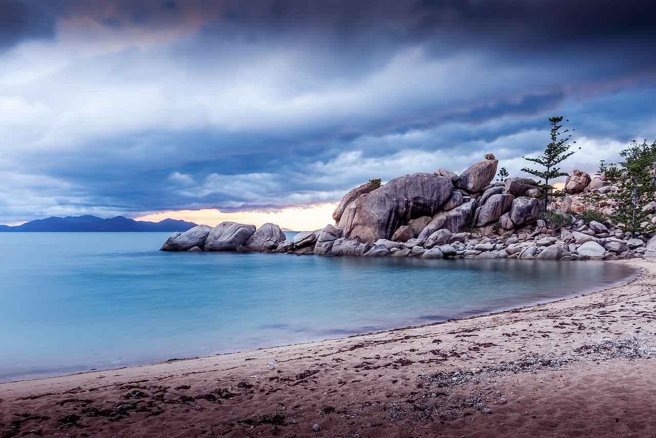 How to Choose the Right Magnetic Car Phone Holder