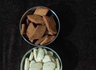 Makar Sankranti: Celebrating the Harvest Festival in New York’s Winter Makar Sankranti: Celebrating the Harvest Festival in New York’s Winter