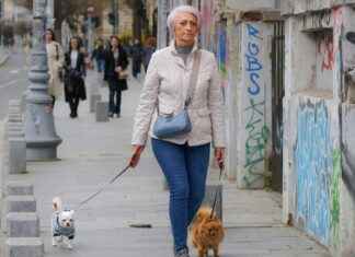 Make1m.com Millionaire Blueprint: Can It Actually Work? Make1m.com Millionaire Blueprint: Can It Actually Work?