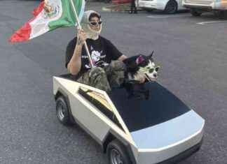 Man banned from Dodger Stadium for driving kids’ Cybertruck man-banned-from-dodger-stadium-for-driving-kids-cybertruck